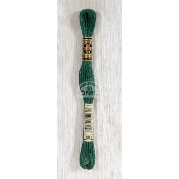 DMC Stranded Cotton Thread- 561