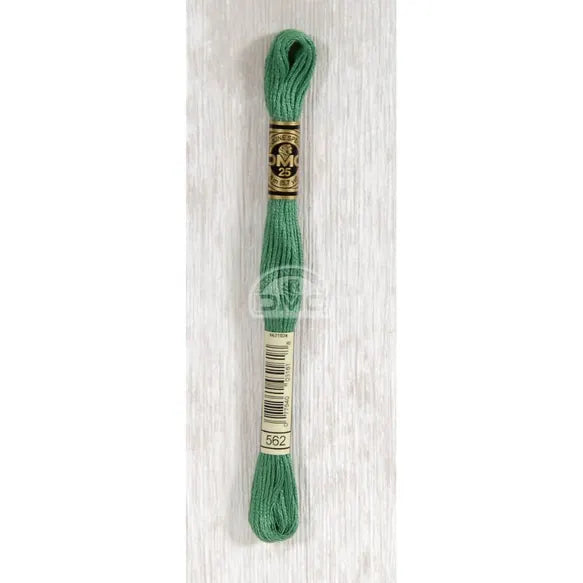 DMC Stranded Cotton Thread- 562