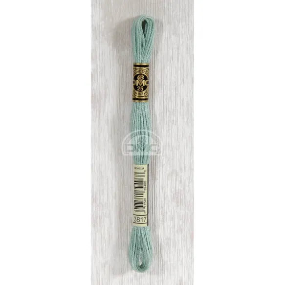 DMC Stranded Cotton Thread- 3817