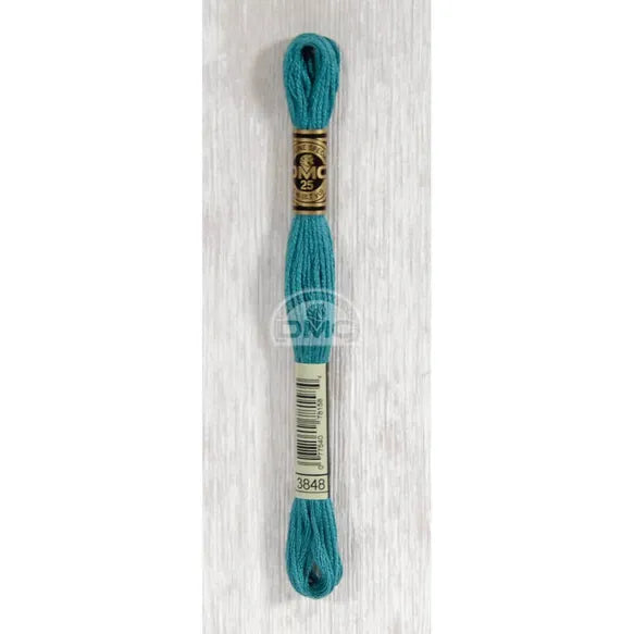DMC Stranded Cotton Thread- 3848