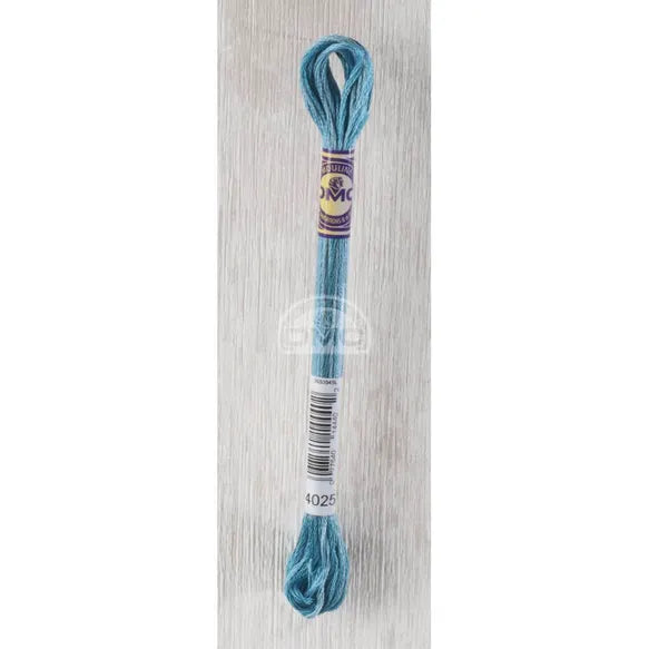 DMC Color Variations Thread- 4025 (Sailors Dreams)