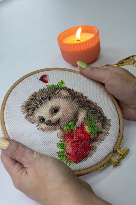 Aine Cross Stitch Kit- 'Hedge Hug' (A1024)