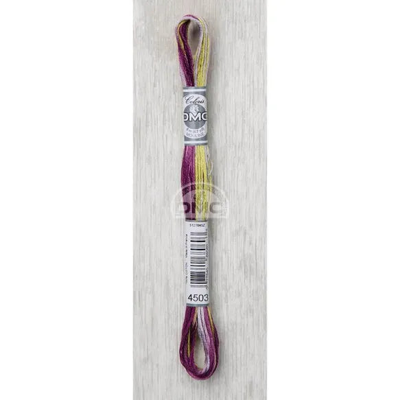 DMC Coloris Thread- 4503 (Iris Bouquet)