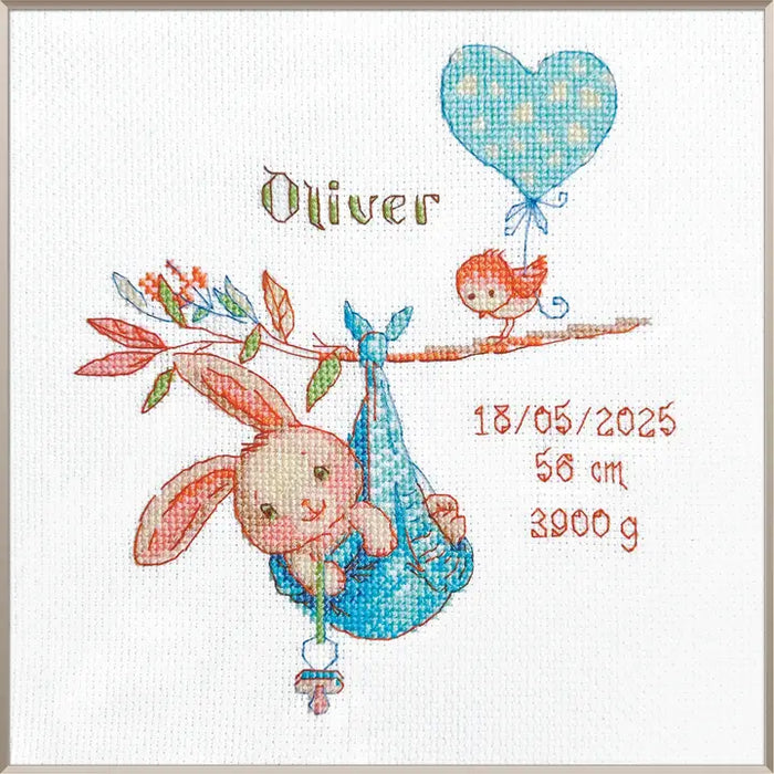 Aine Cross Stitch Kit- Newborn Sampler- Blue (A1028)