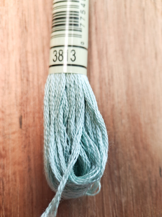 DMC Stranded Cotton Thread- 3813