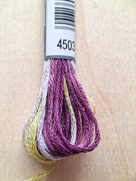 DMC Coloris Thread- 4503 (Iris Bouquet)