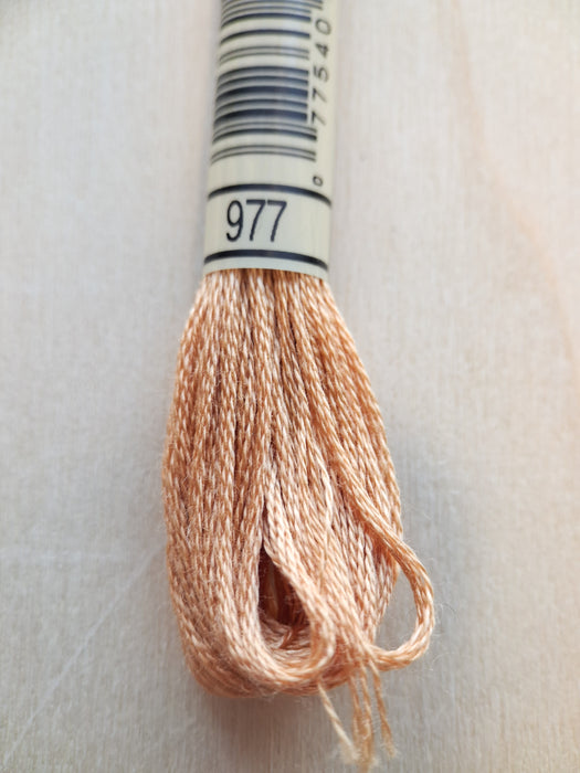 DMC Stranded Cotton Thread- 977