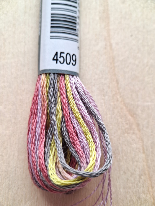 DMC Coloris Thread- 4509 (Rose Bouquet)
