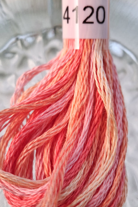 DMC Color Variations Thread- 4120 (Fruit Salad)