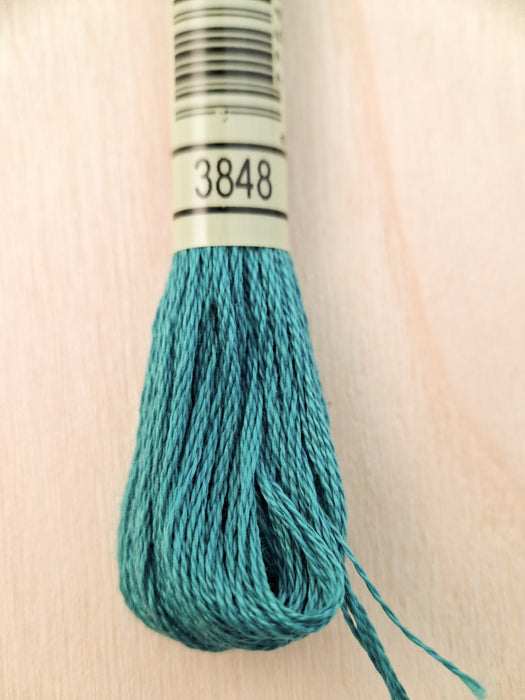 DMC Stranded Cotton Thread- 3848