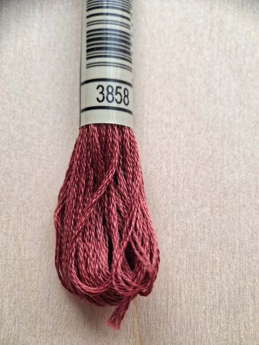 DMC Stranded Cotton Thread- 3858
