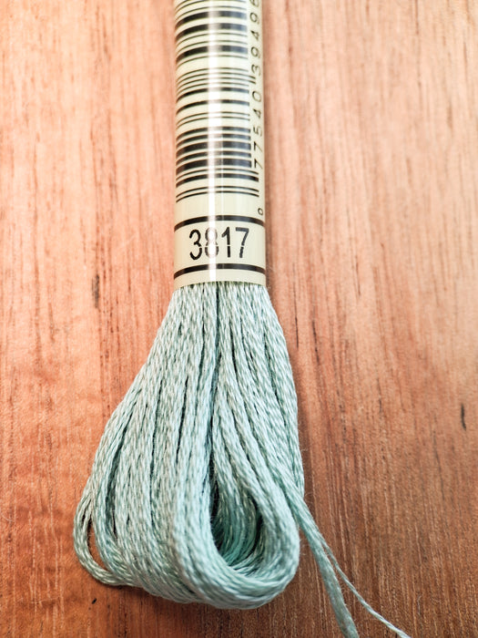 DMC Stranded Cotton Thread- 3817
