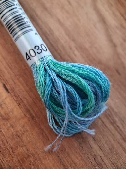 DMC Color Variations Thread- 4030 (Warm Dreams)