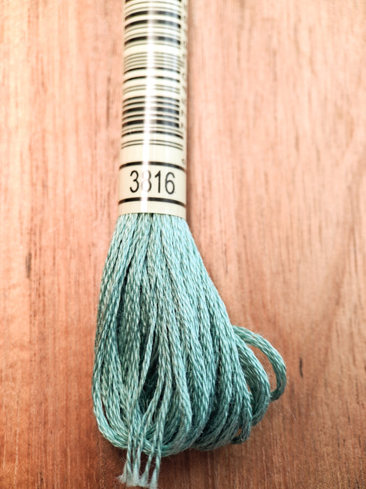 DMC Stranded Cotton Thread- 3816