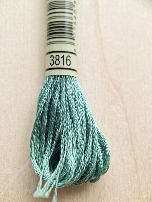 DMC Stranded Cotton Thread- 3816