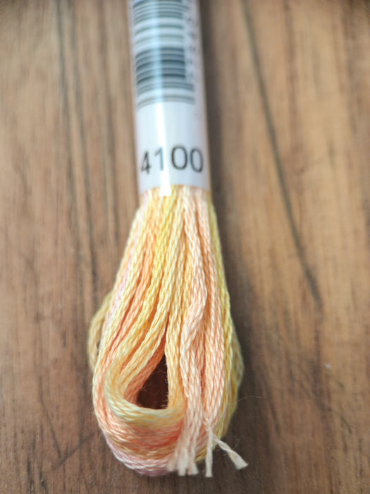 DMC Color Variations Thread- 4100 (Rhubarb and Custard)