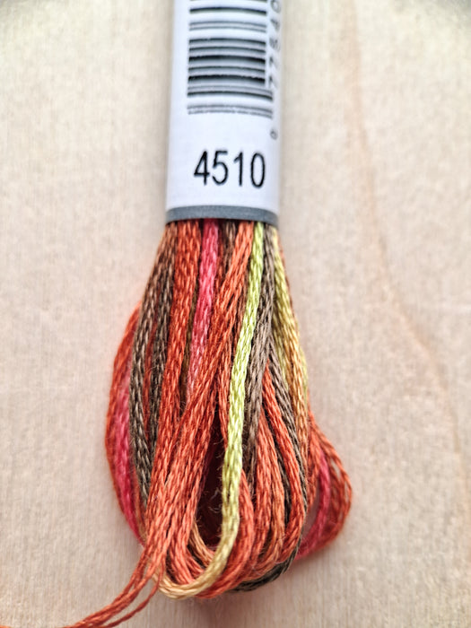 DMC Coloris Thread- 4510 (Flickering Bouquet)