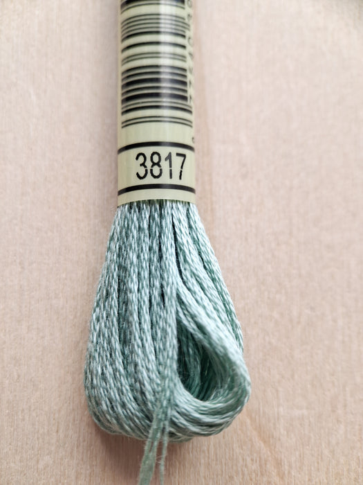 DMC Stranded Cotton Thread- 3817