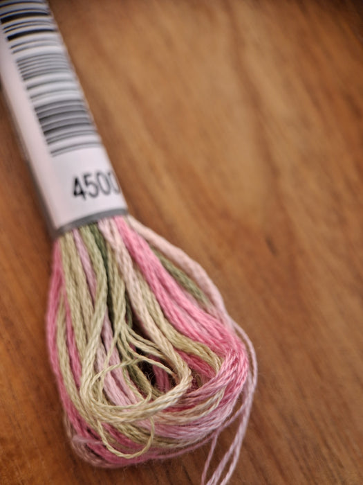 DMC Coloris Thread- 4500 (Spring Meadow)