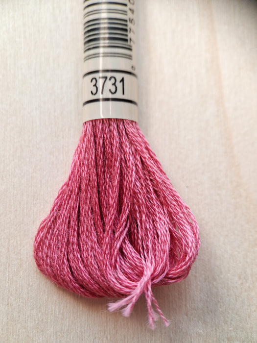DMC Stranded Cotton Thread- 3731