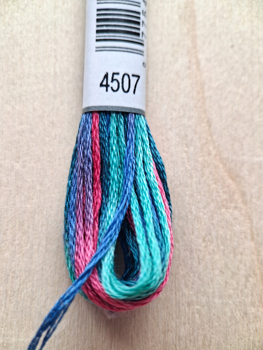 DMC Coloris Thread- 4507 (Jewel Circus)