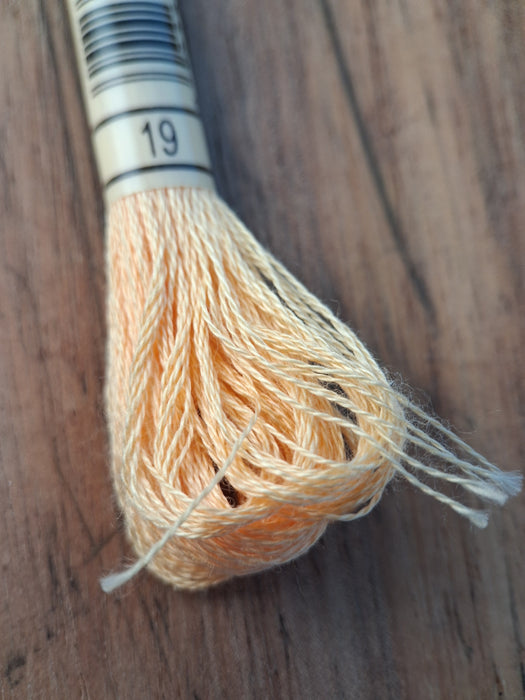 DMC Stranded Cotton Thread- 19