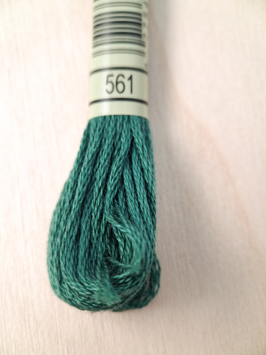 DMC Stranded Cotton Thread- 561