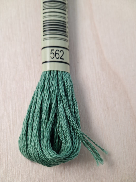 DMC Stranded Cotton Thread- 562