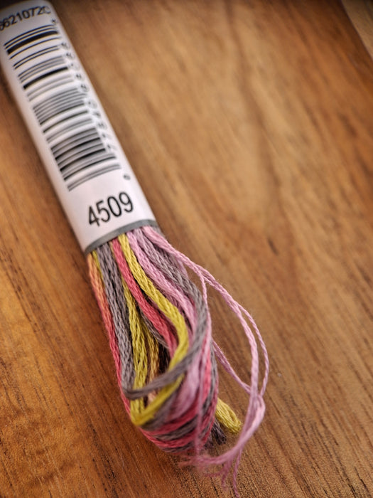DMC Coloris Thread- 4509 (Rose Bouquet)