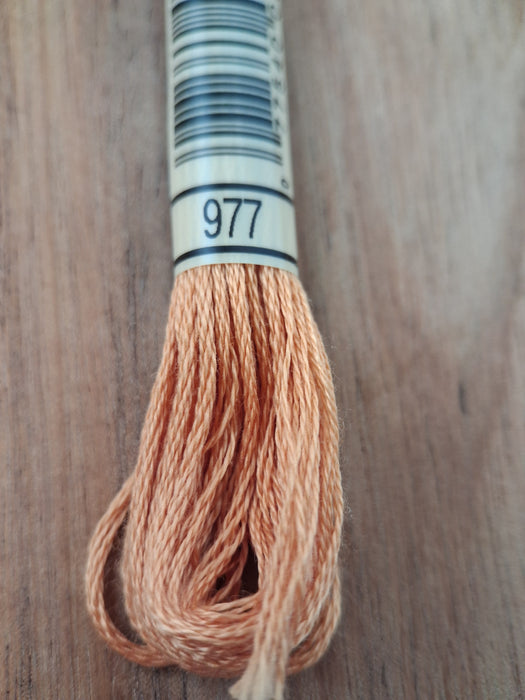 DMC Stranded Cotton Thread- 977