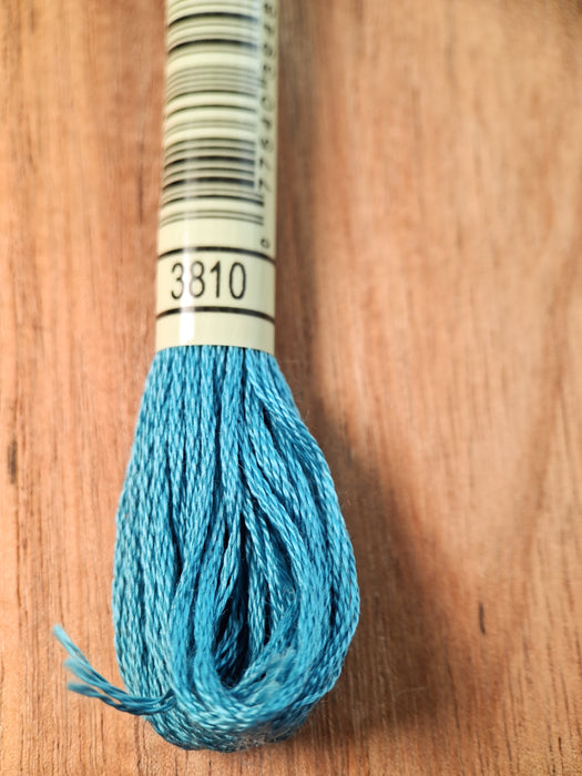 DMC Stranded Cotton Thread- 3810
