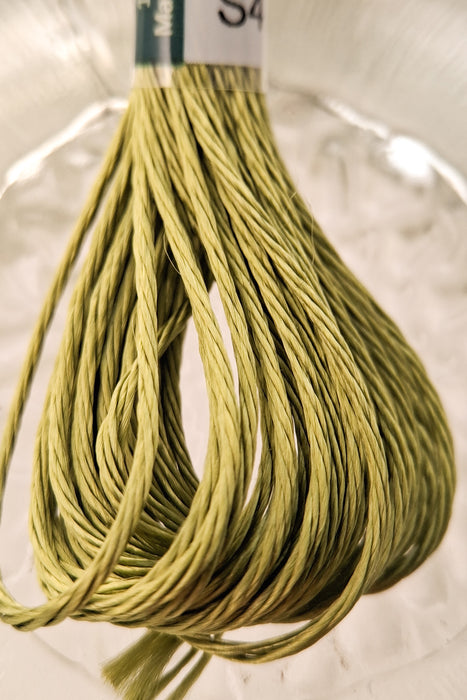 DMC Satin Thread- S472 (Green Bud)