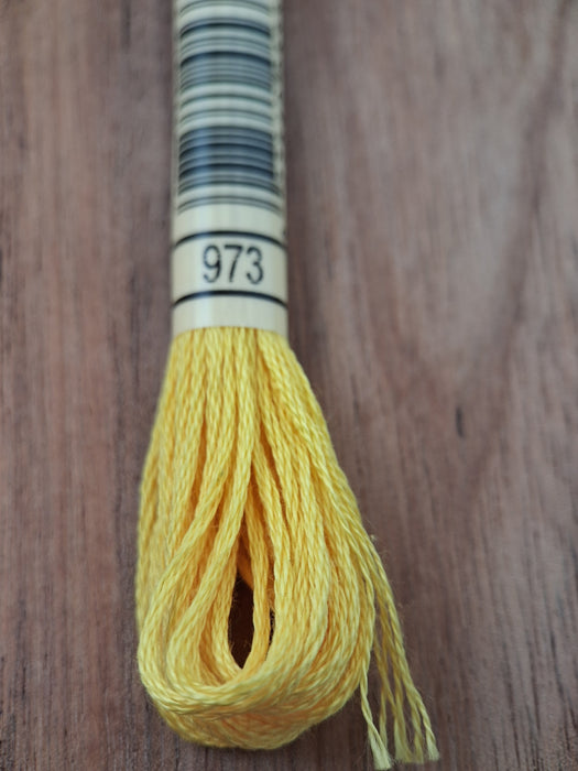 DMC Stranded Cotton Thread- 973