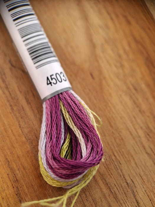 DMC Coloris Thread- 4503 (Iris Bouquet)