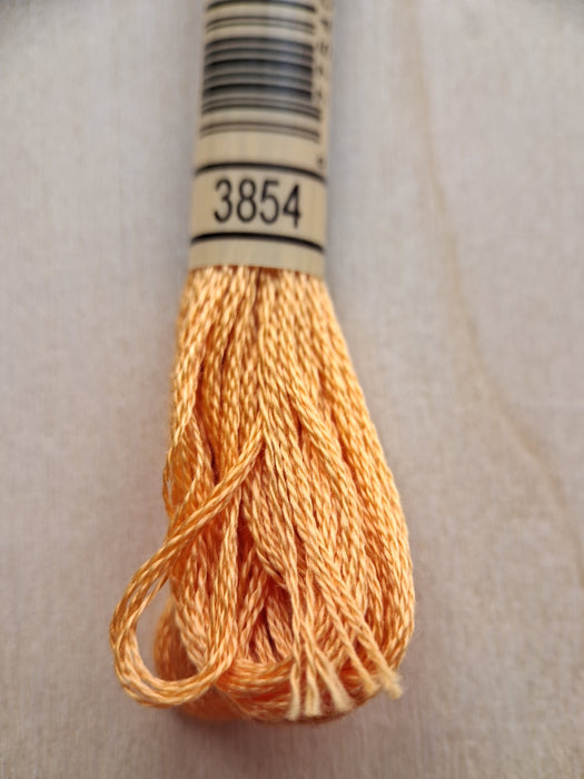 DMC Stranded Cotton Thread- 3854