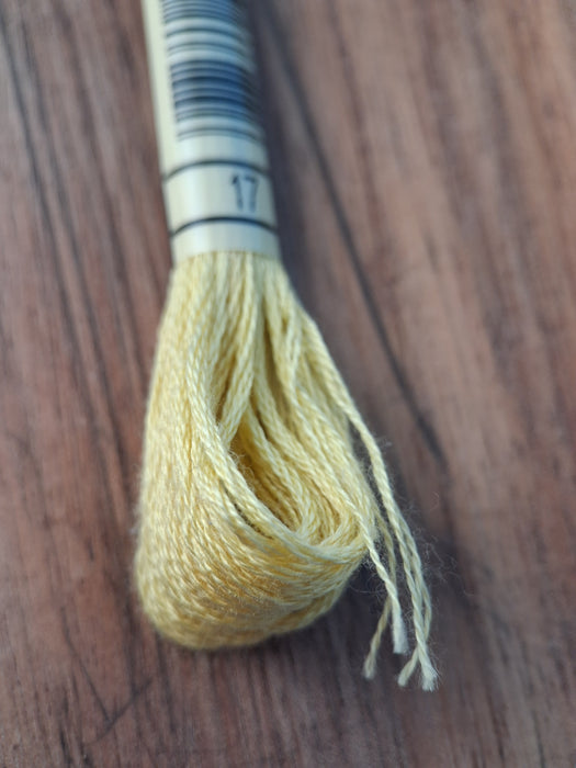 DMC Stranded Cotton Thread- 17