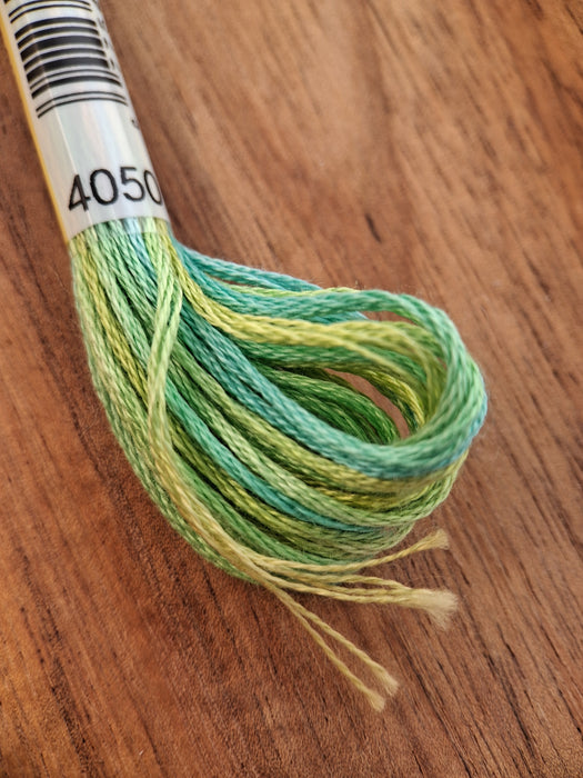DMC Color Variations Thread- 4050 (Kismet)