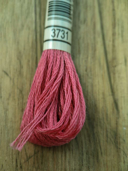 DMC Stranded Cotton Thread- 3731