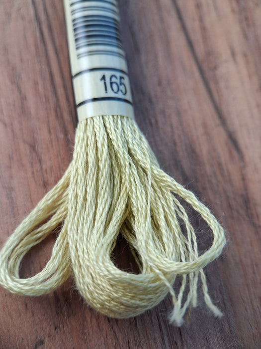 DMC Stranded Cotton Thread- 165