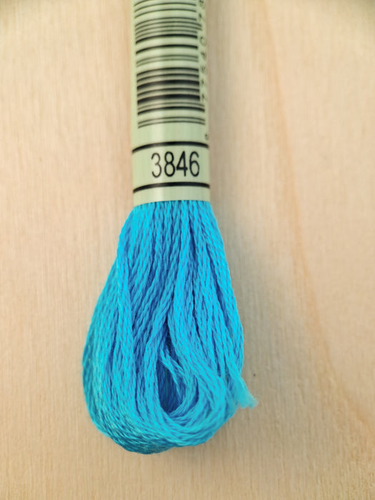 DMC Stranded Cotton Thread- 3846