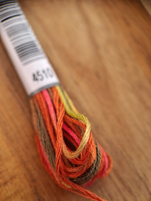 DMC Coloris Thread- 4510 (Flickering Bouquet)