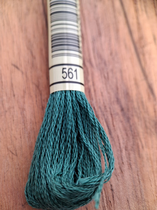 DMC Stranded Cotton Thread- 561