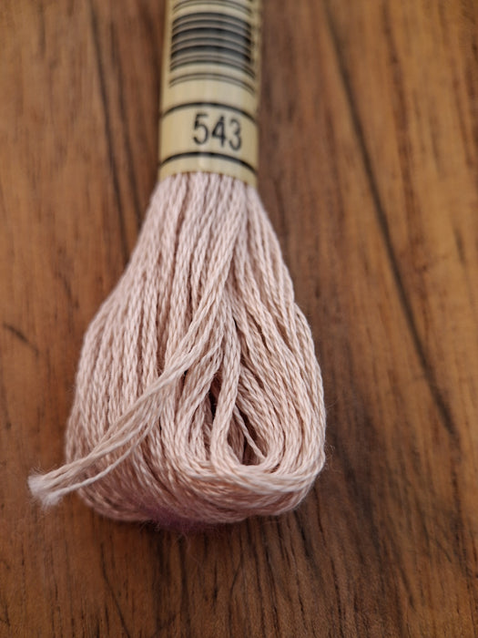 DMC Stranded Cotton Thread- 543