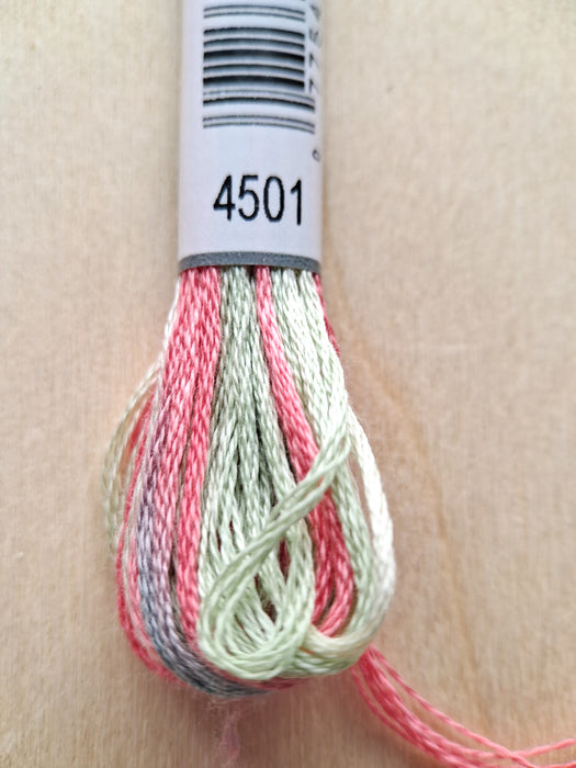 DMC Coloris Thread- 4501 (Ice Cream Stand)