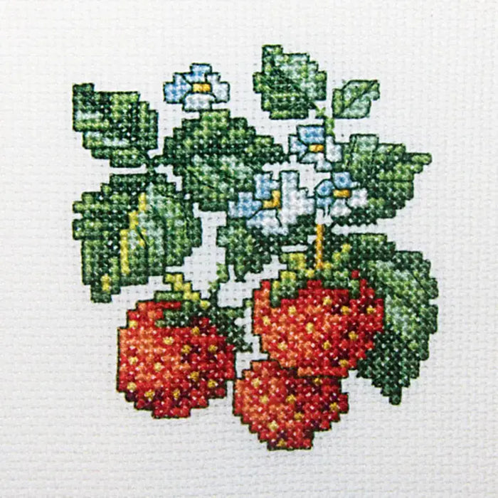 RTO Cross-Stitch Kit- 'Wild Strawberry' (H251)