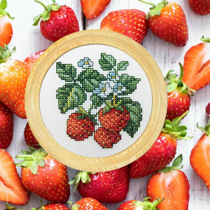 RTO Cross-Stitch Kit- 'Wild Strawberry' (H251)